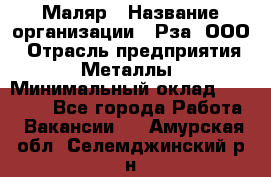 Маляр › Название организации ­ Рза, ООО › Отрасль предприятия ­ Металлы › Минимальный оклад ­ 40 000 - Все города Работа » Вакансии   . Амурская обл.,Селемджинский р-н